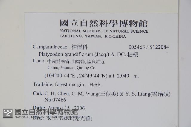 桔梗藏品圖，第2張