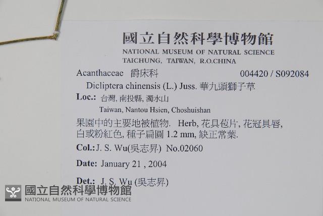 華九頭獅子草藏品圖，第2張