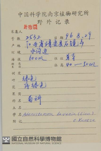 下田菊藏品圖，第2張