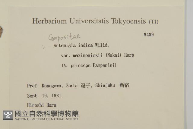 登錄號:S082084藏品圖，第2張