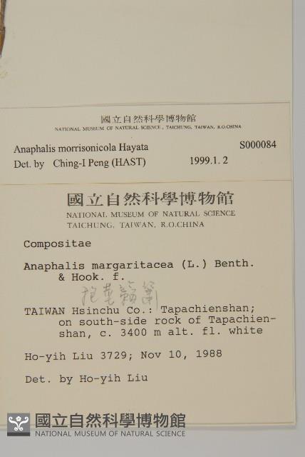 玉山抱莖籟簫藏品圖，第2張