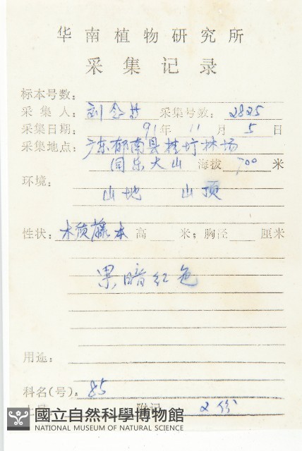 錫葉藤藏品圖，第2張