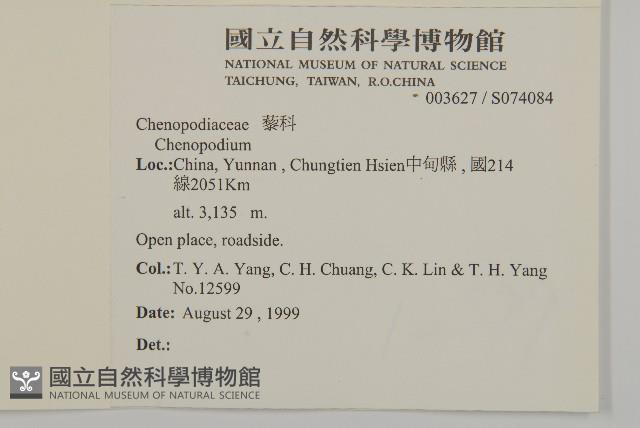 登錄號:S074084藏品圖，第2張