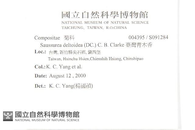 臺灣青木香藏品圖，第2張