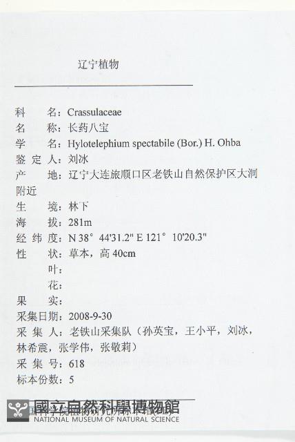 長藥八寶藏品圖，第2張