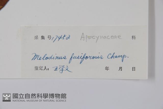 Accession Number:S041184 Collection Image, Figure 2, Total 2 Figures