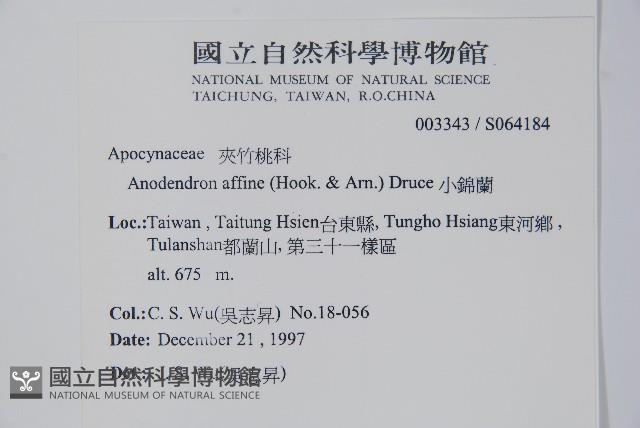 大錦蘭藏品圖，第2張