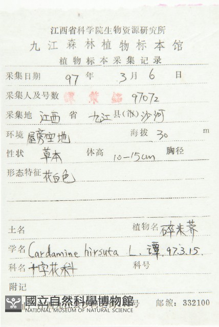 碎米薺藏品圖，第2張
