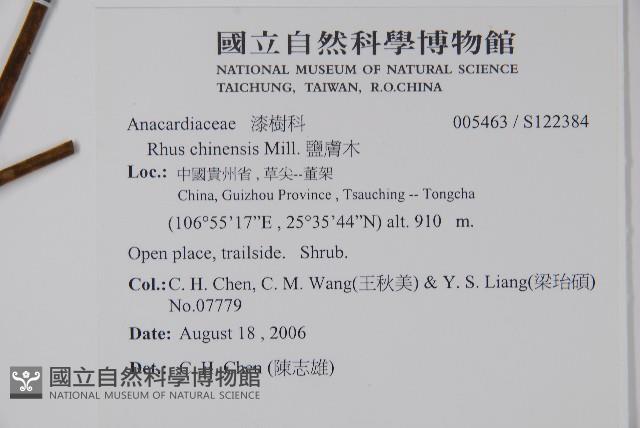 鹽膚木藏品圖，第2張