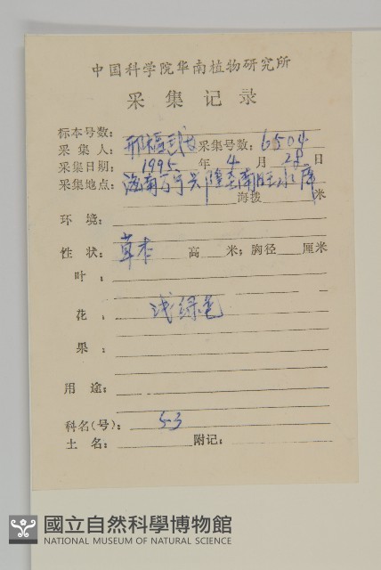 多莢草藏品圖，第2張