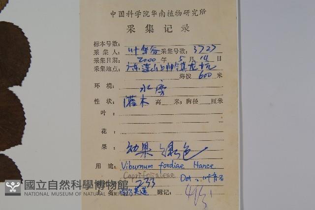 南方莢迷藏品圖，第2張