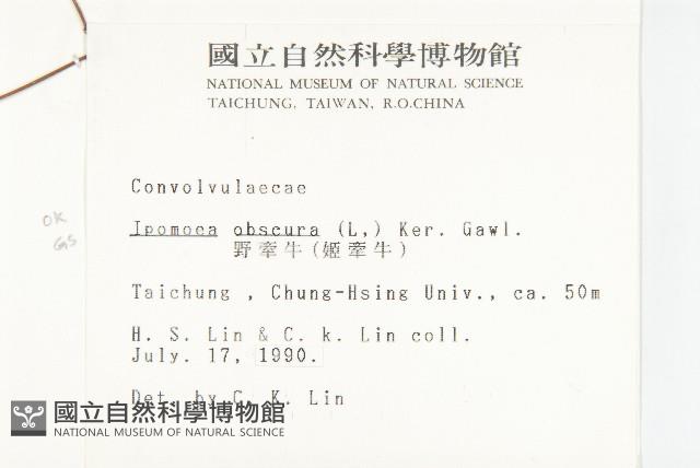 野牽牛藏品圖，第2張