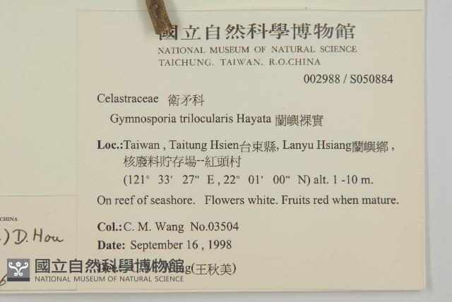 蘭嶼裸實藏品圖，第2張