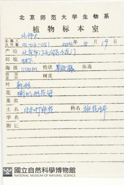 篱打碗花藏品圖，第2張