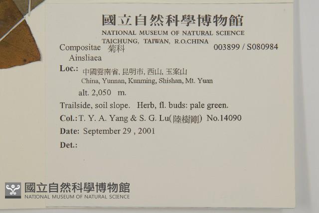 登錄號:S080984藏品圖，第2張