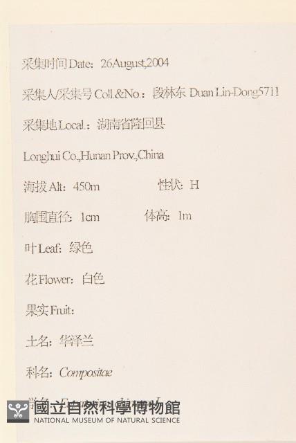 華澤蘭藏品圖，第2張