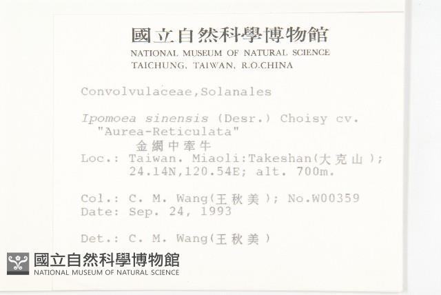 金網中牽牛藏品圖，第2張