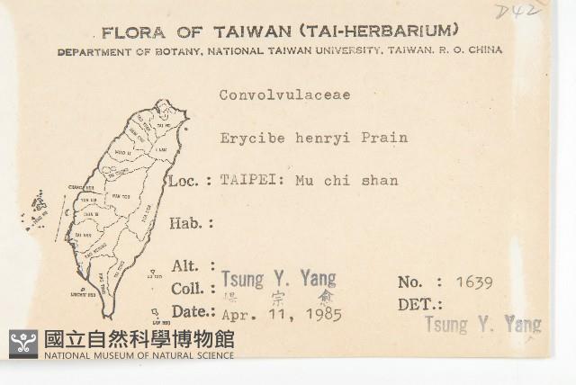 亨利氏伊立基藤藏品圖，第2張