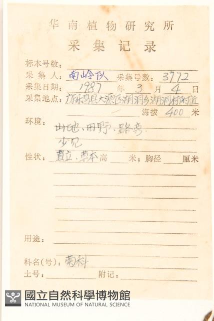 苦滇菜、苦菜藏品圖，第2張