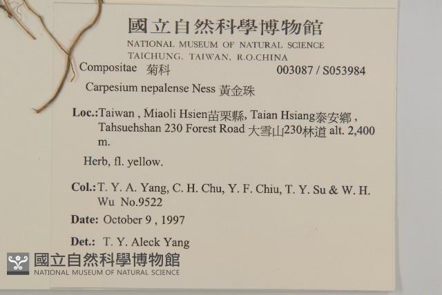 Accession Number:S053984 Collection Image, Figure 2, Total 2 Figures