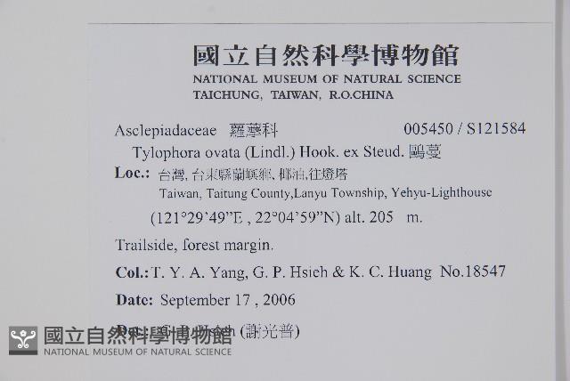 鷗蔓藏品圖，第2張