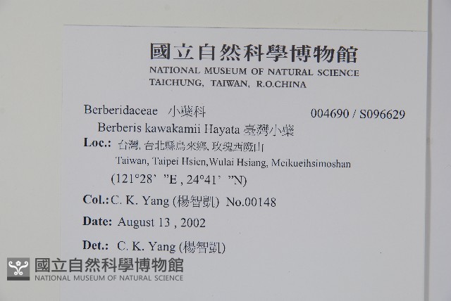 臺灣小蘗藏品圖，第2張