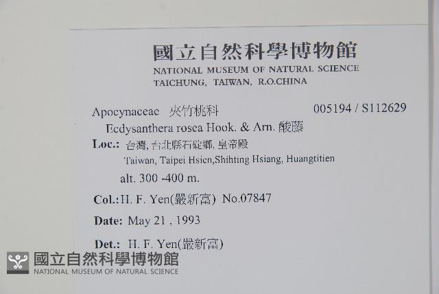 酸藤藏品圖，第2張