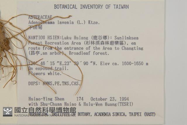下田菊藏品圖，第2張