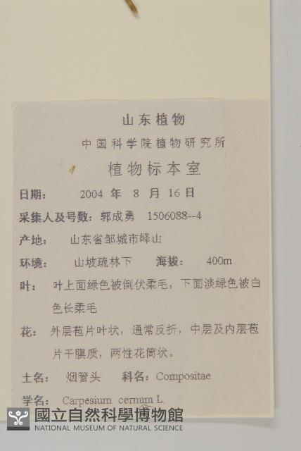 杓兒菜藏品圖，第2張