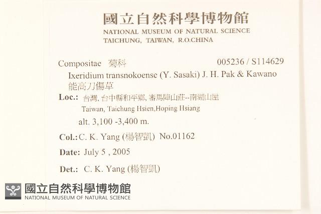 能高刀傷草藏品圖，第2張