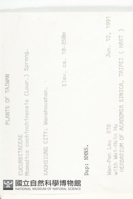 木鱉子藏品圖，第2張