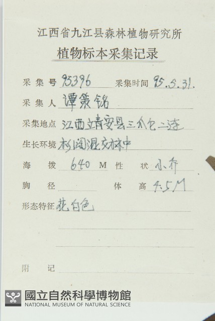 四照花、山荔枝藏品圖，第2張
