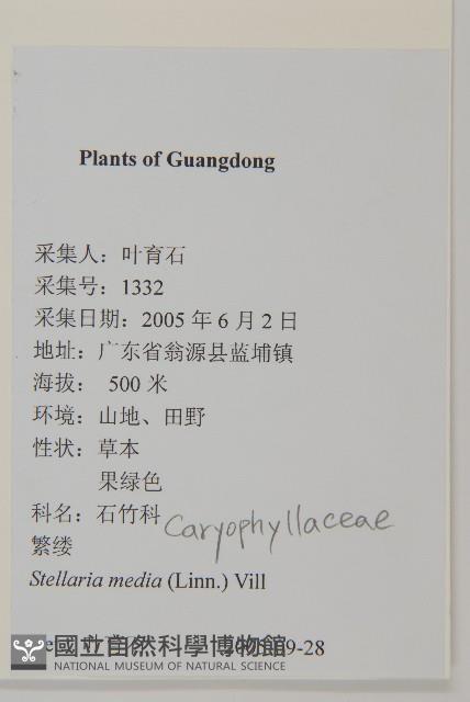 升馬唐藏品圖，第2張