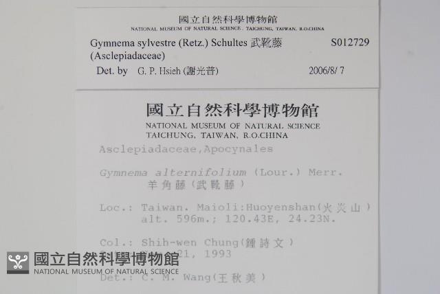 武靴藤藏品圖，第2張