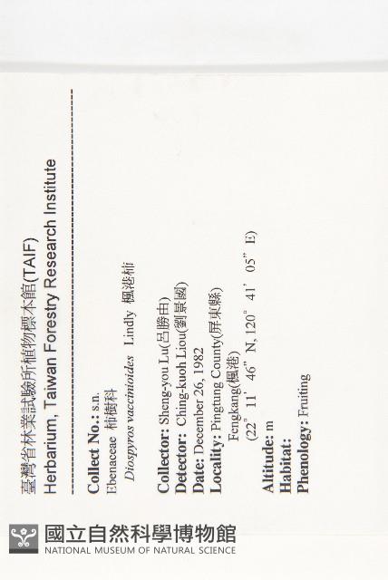 楓港柿藏品圖，第2張