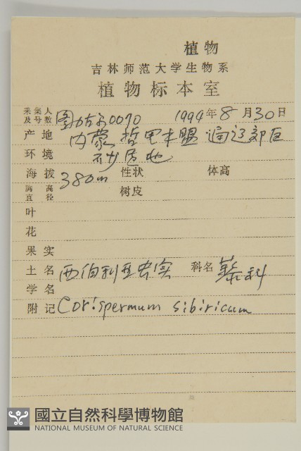 西伯利亞蟲實藏品圖，第2張