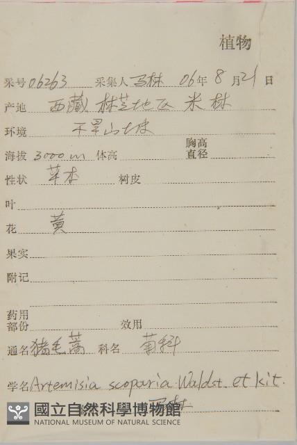 雲南含笑藏品圖，第2張