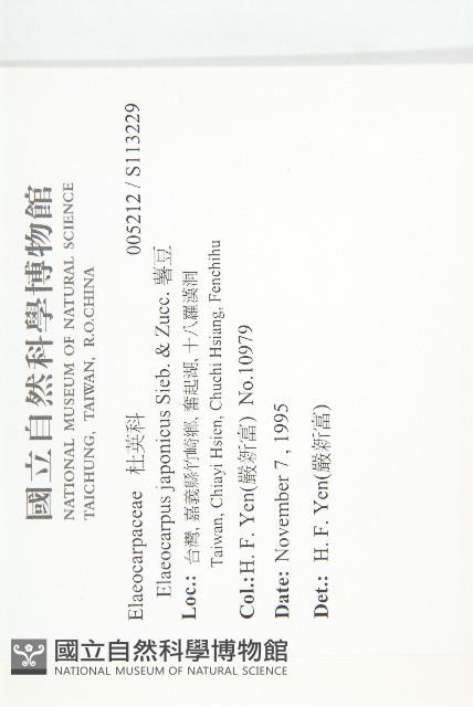 薯豆藏品圖，第2張