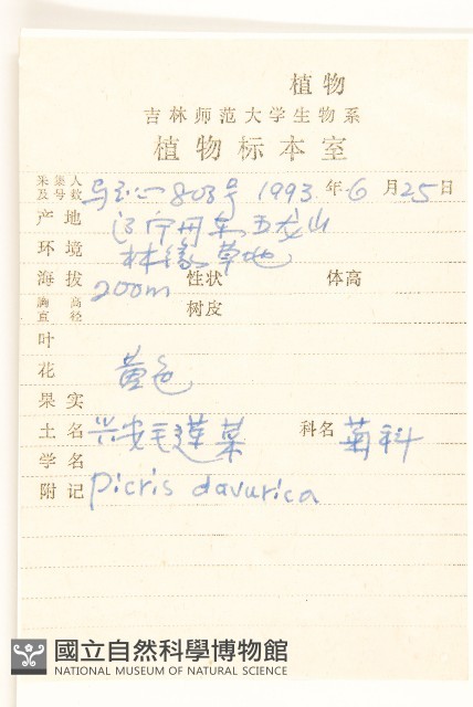 興安毛蓮菜藏品圖，第2張