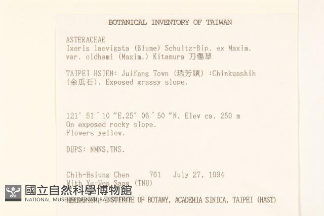 刀傷草藏品圖，第2張