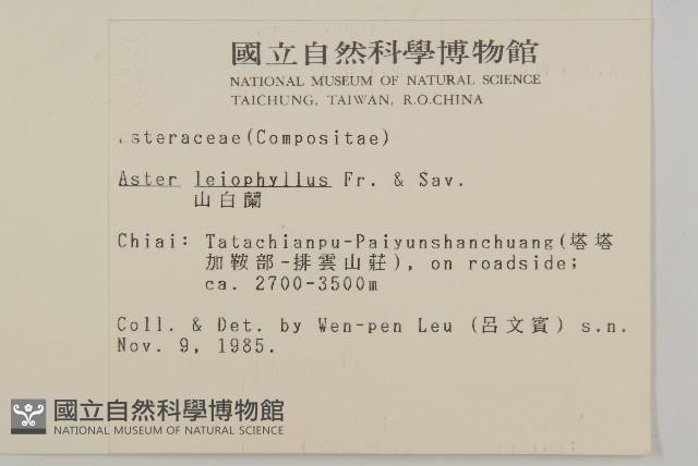 山白蘭藏品圖，第2張