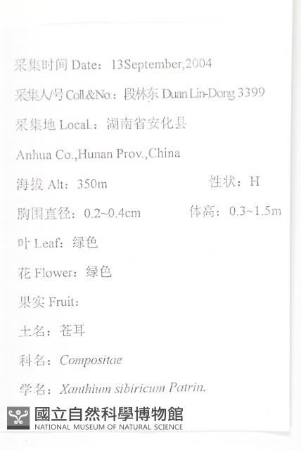 蒼耳藏品圖，第2張