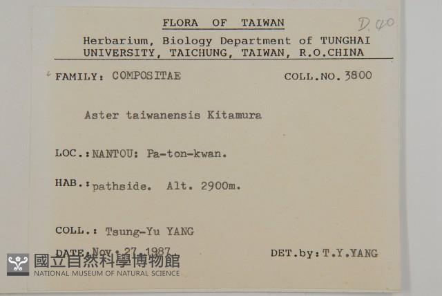 臺灣馬蘭藏品圖，第2張