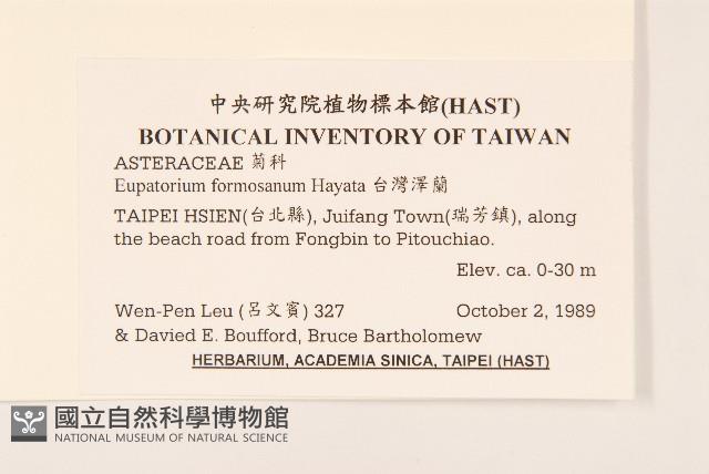 臺灣澤蘭藏品圖，第2張