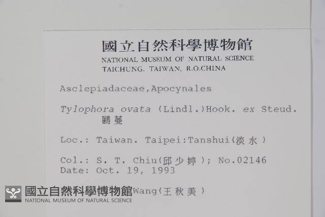 鷗蔓藏品圖，第2張