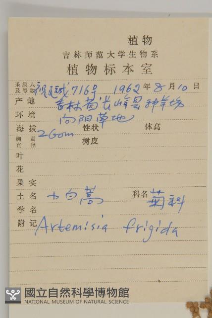 冷蒿藏品圖，第2張