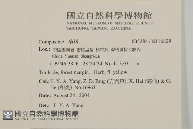 登錄號:S116829藏品圖，第2張