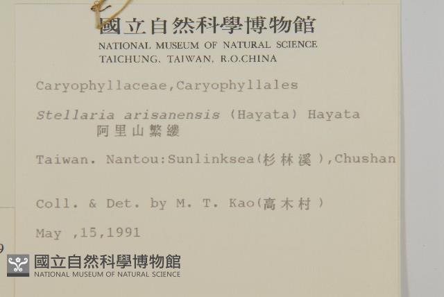 繁縷藏品圖，第2張