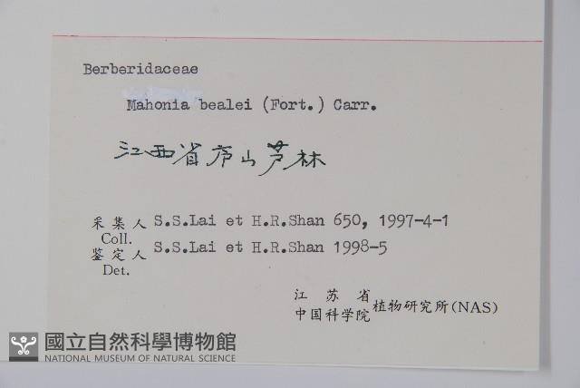 闊葉十大功勞藏品圖，第2張
