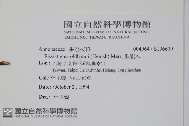 瓜馥木藏品圖，第2張